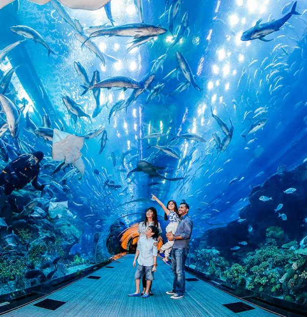 Dubai Mall Aquarium Tickets