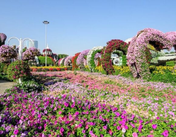 Top Instagram-Worthy Spots at Dubai Miracle Garden for Picture-Perfect Moments