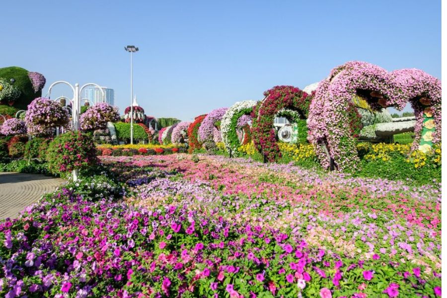 Spots at Dubai Miracle Garden