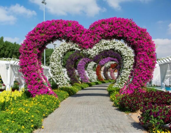 Discover the Blooming Wonders: Must-See Attractions at Dubai Miracle Garden