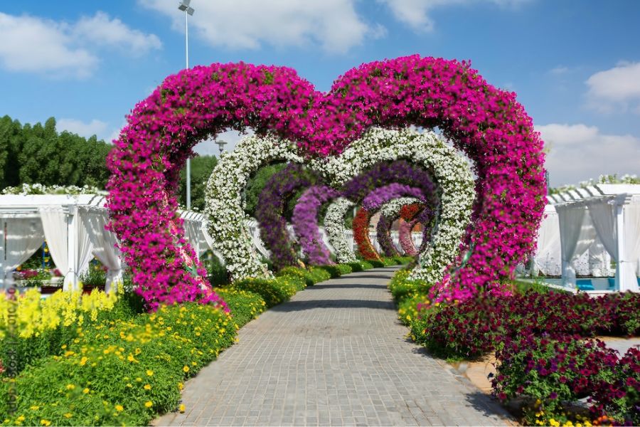 Attractions at Dubai Miracle Garden