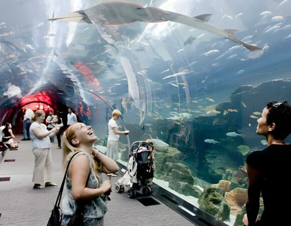 Discover the Marine Magic at Dubai Mall Aquarium and Underwater Zoo