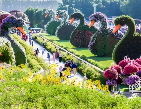 Blooms of Wonder Must-See Attractions at Dubai Miracle Garden