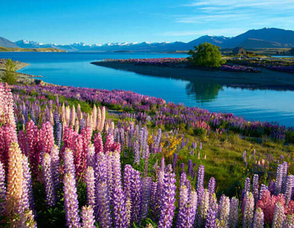 Top Tourist Attractions to Visit with Your New Zealand Visit Visa