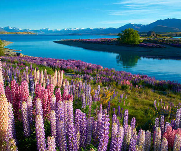 Top Tourist Attractions to Visit with Your New Zealand Visit Visa