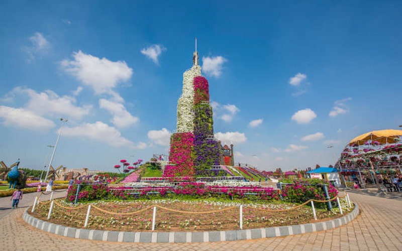 Beauty of Dubai Miracle Garden (1)